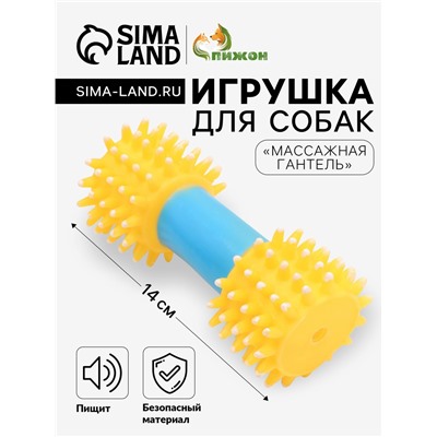 Игрушка для собак пищащая «Массажная гантель», 14 см, жёлтая/голубая