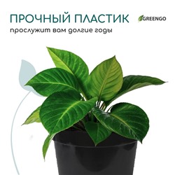 Горшок для рассады, 20 л, d=38 см, h=25 см, чёрный, Greengo