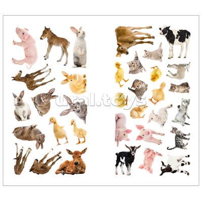 Фотонаклейки. В деревне