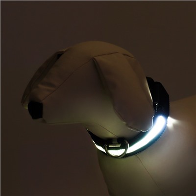 Ошейник с подсветкой размер S, ОШ 35-43×2.5 см, 3 режима свечения чёрный