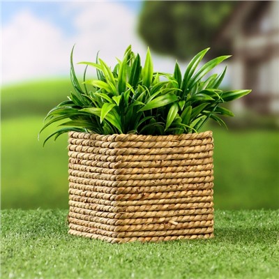 Декоративное кашпо для цветов «Эйра», 10×10×9 см, деревянное, бежевое