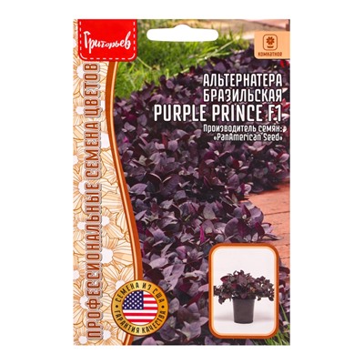 Семена цветов Альтернатера Purple Prince F1 бразильская 3 шт. 12.29 г