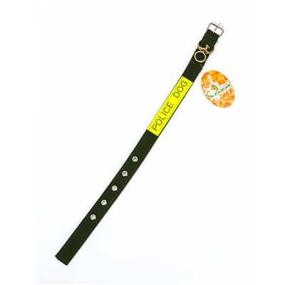 Ошейник двухслойный с вертлюгом, 2.5 см, зелёный