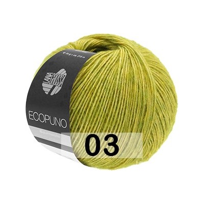 Пряжа Lana Grossa ECOPUNO