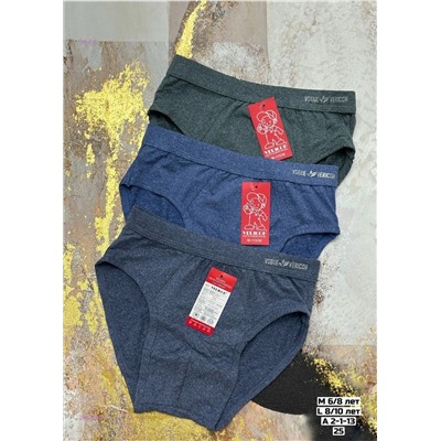 Трусы 2 шт 2059688-1