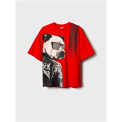 PLAYTODAY Фуфайка 12611037