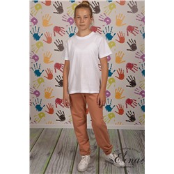 Брюки М22153Тв