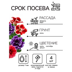Семена комнатных цветов Глоксиния Аванти "Смесь", ц/п,  F1, 4 шт.