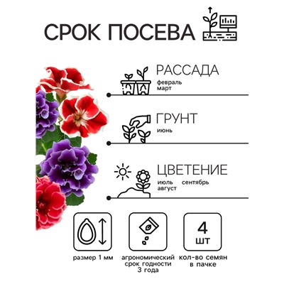 Семена комнатных цветов Глоксиния Аванти "Смесь", ц/п,  F1, 4 шт.