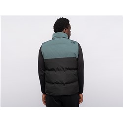 Жилет The North Face