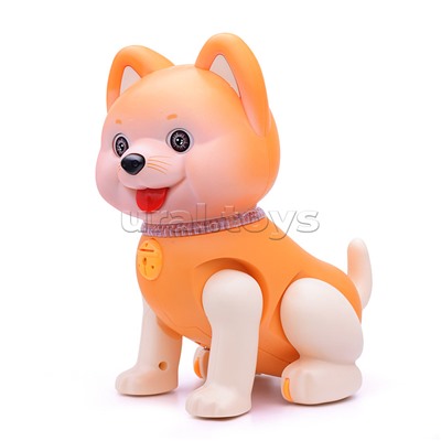 Развивающая игрушка "Собака" в коробке