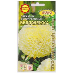 Бархатцы Белоснежка (Код: 6884)