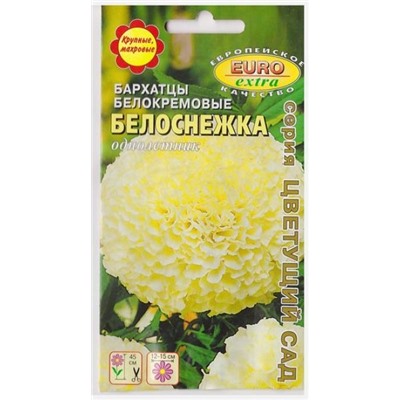 Бархатцы Белоснежка (Код: 6884)