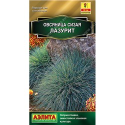 1646A Овсяница сизая Лазурит 5шт