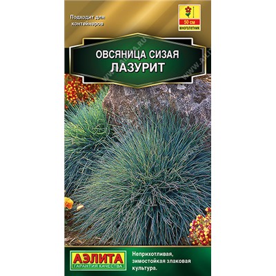 1646A Овсяница сизая Лазурит 5шт