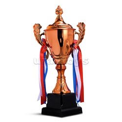 Кубок спортивный металл (29 см)