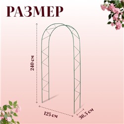 Арка садовая, 240×125×36.5 см, для вьющихся растений, металлическая, зелёная, «Ёлочка», Greengo