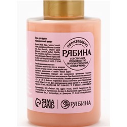 Подарочный набор новогодний «Сказочный домик»: гель для душа 100 мл, бомбочка для ванны 130 г, мочалка для тела, URAL LAB