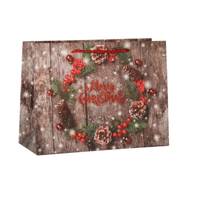 Пакет подарочный 18х24х8.5 / 362-61-S /уп 12/720/ микс Новый год