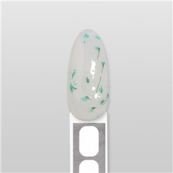 Гель для наращивания, с сухоцветами, трехфазный, 9 г, LED/UV, прозрачный, бирюзовый
