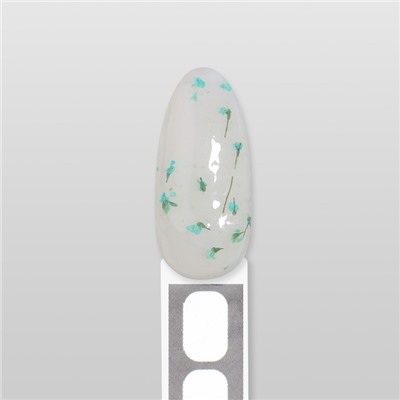 Гель для наращивания, с сухоцветами, трехфазный, 9 г, LED/UV, прозрачный, бирюзовый