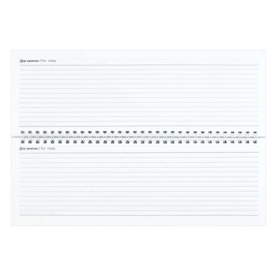 Планинг недатированный на спирали 290х100 мм 128стр. "ТРИКОЛОР" 71588 Феникс