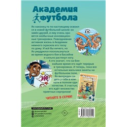 АСТ Андреас Шлютер, Ирене Маргил "Академия футбола. Глупая травма"