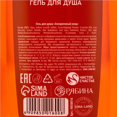 Гель для душа «Волшебных моментов!», 250 мл, аромат пряного глинтвейна, Чистое счастье