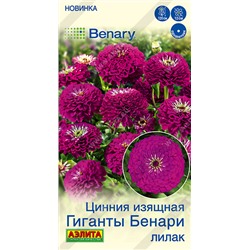 Цинния Гиганты Бенари Лилак (Код: 93616)