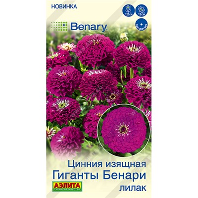 Цинния Гиганты Бенари Лилак (Код: 93616)