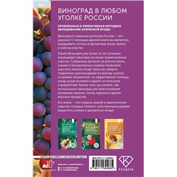 АСТ Юрий Загвоздин "Виноград в любом уголке России. Проверенная и эффективная методика выращивания капризной ягоды"