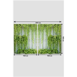 Натали Шторы 10856