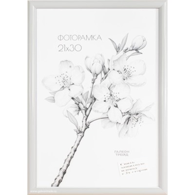 Фоторамка 21х30 с акриловым стеклом/ 1302A-012AL /уп10