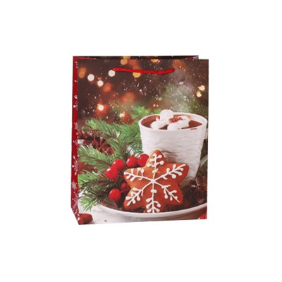 Пакет подарочный 18x23x10см / 5580M /уп 12/720/Новый год