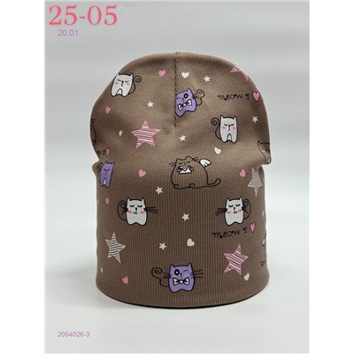 шапка 2054026-3