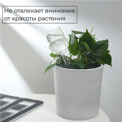 Автополив для комнатных растений «Сова», 200 мл, ПВХ, Greengo