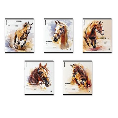 Тетрадь  18л линия "Дикий скакун" MIX-PACK 64845 ErichKrause