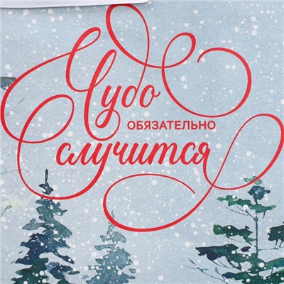 Пакет подарочный новогодний крафтовый «Чудеса случаются», M 26×30×9 см