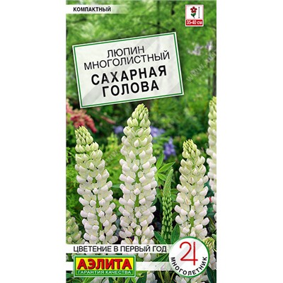 1630A Люпин Сахарная голова 7 шт