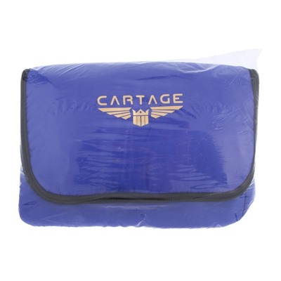 Термосумка Cartage Т-12, синяя, 18 л, 35×21×24 см