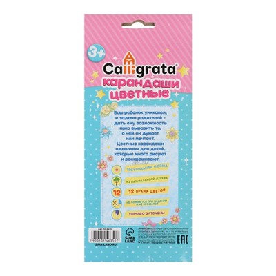 Карандаши Calligrata «Принцесса», цветные, 12 цветов, деревянные, трёхгранные