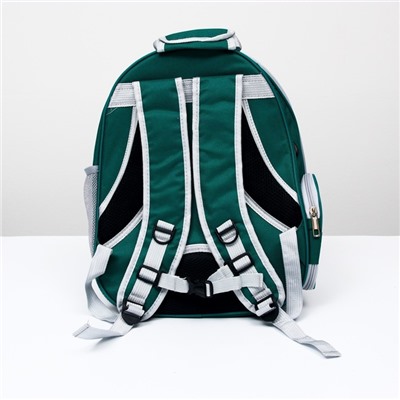 Рюкзак для переноски животных, 31×28×42 см, прозрачный, сине-зелёный