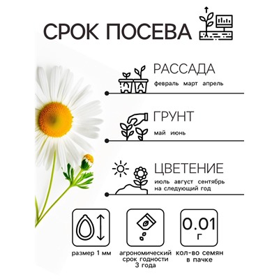 Семена Ромашка «Гигантелла», 0.01 г, «Рецепты дедушки Никиты»