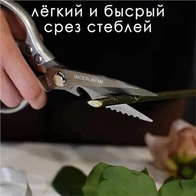 Ножницы кухонные универсальные #23078092