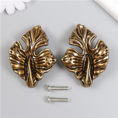 Ручка для шкатулки латунь «Экзотические листья», набор 2 шт., 5×7×2 см