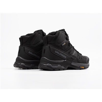 Зимние Ботинки Salomon Quest 4 GTX
