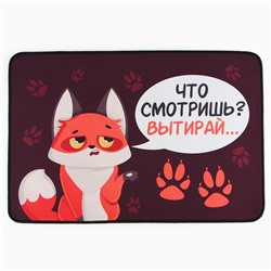 Коврик придверный «Что смотришь?», 40 х 60 см