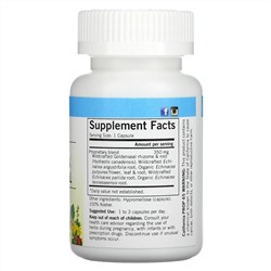 Eclectic Institute, Raw Fresh Freeze-Dried, Echinacea Goldenseal, 350 mg, 90 Non-GMO Veg Caps