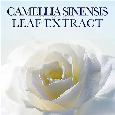 SADOER Бомбочка для ванны ароматическая с камелией, 100гр