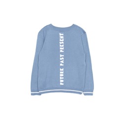 Джемпер для мальчика ESLI джемпер для мальчика 19С-130СП